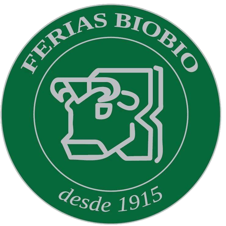 Ferias Biobío